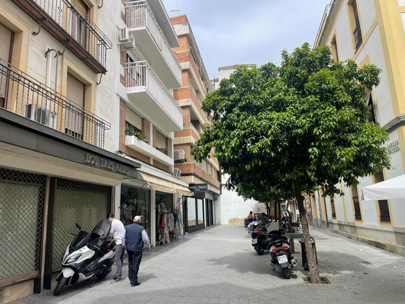 Apartamentos Azonaicas Centro Tendillas 코르도바 외부 사진